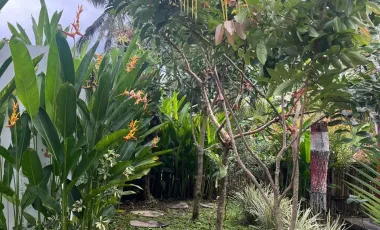 2 Bedroom Villa for rent in Tampak Siring, Bali