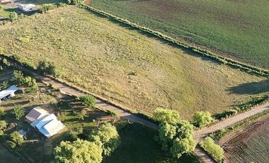 Parcela en Venta en Pangue Abajo,San Rafael