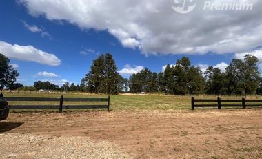 Parcela en Venta en Condominio los castaños Río bueno