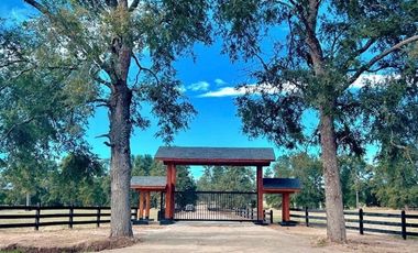 Parcela en Venta en Condominio los castaños Río bueno