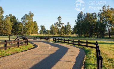 Parcela en Venta en Condominio los castaños Río bueno