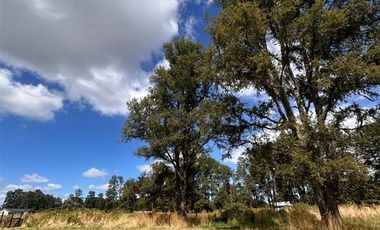 Parcela en Venta en Condominio los castaños Río bueno