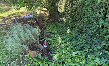 Casa en venta - 1 Dormitorio 1 Baño - 826Mts2 - Villa Elisa, La Plata