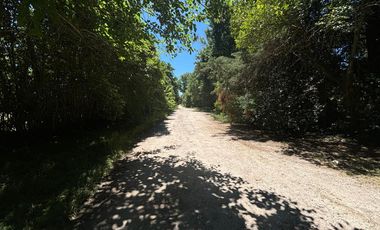 Casa en venta - 1 Dormitorio 1 Baño - 826Mts2 - Villa Elisa, La Plata