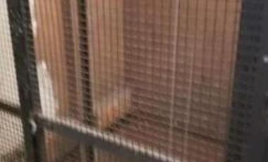 Depósito en venta - Oficinas - Baños - 662Mts2 - La Matanza