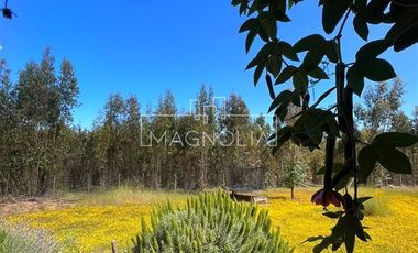 Casa en Venta en El Pangal