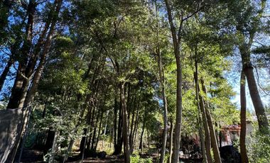 VENTA PARCELA 5800MTS Concepción