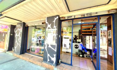 OPORTUNIDAD ÚNICA DEL BARRIO COMERCIAL SANTA  ISABEL