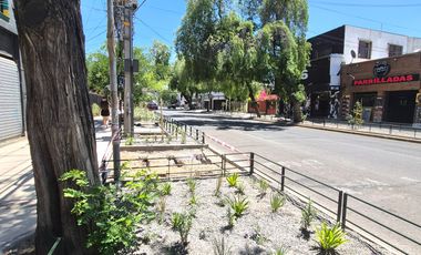 OPORTUNIDAD ÚNICA DEL BARRIO COMERCIAL SANTA  ISABEL