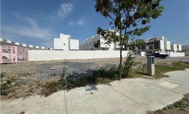 Terreno en renta Juárez