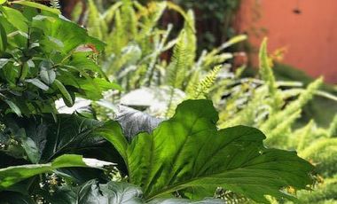 Casa en  Venta en Godoy Cruz - Mendoza