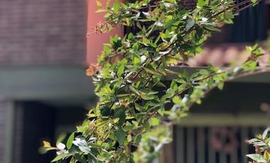 Casa en  Venta en Godoy Cruz - Mendoza