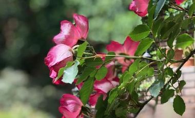 Casa en  Venta en Godoy Cruz - Mendoza