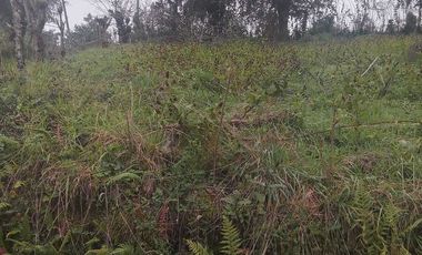 VENTA DE TERRENO EN TETELES DE AVILA PUEBLA 1,405.25 M2