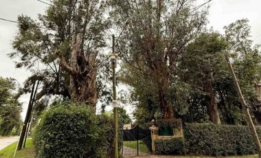 Casa en venta - 3 Dormitorios 3 Baños - 2.100Mts2 - Villa Elisa