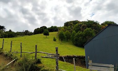 Se venden tres propiedades en Chiloé
