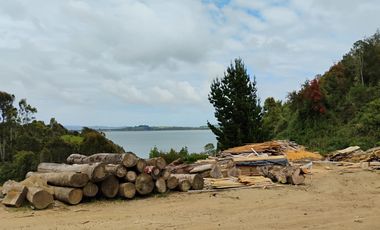 Se venden tres propiedades en Chiloé