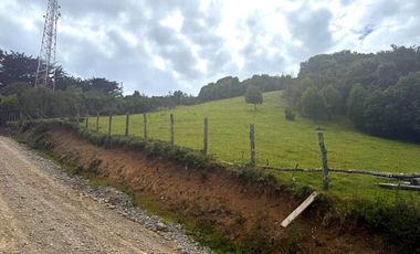 Se venden tres propiedades en Chiloé