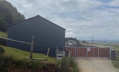 Se venden tres propiedades en Chiloé