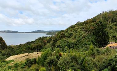 Se venden tres propiedades en Chiloé