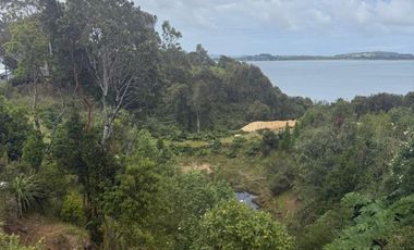 Se venden tres propiedades en Chiloé