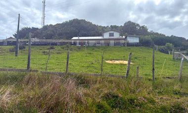 Se venden tres propiedades en Chiloé