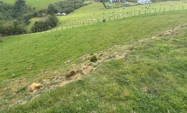 Se venden tres propiedades en Chiloé