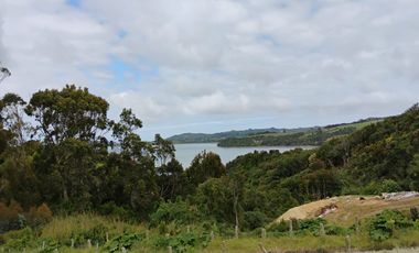 Se venden tres propiedades en Chiloé