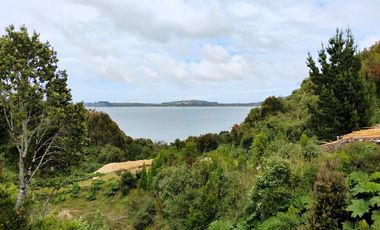 Se venden tres propiedades en Chiloé