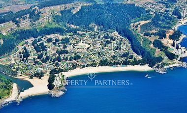 Pingueral terreno soleado y con vista al mar