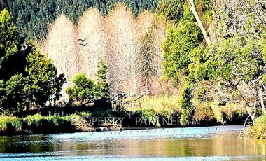 Pingueral terreno soleado y con vista al mar