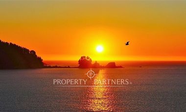 Pingueral terreno soleado y con vista al mar