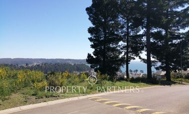 Pingueral terreno soleado y con vista al mar