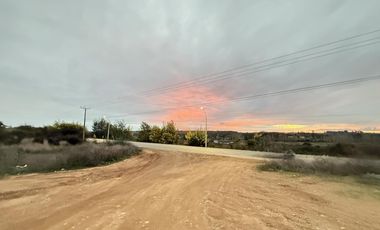 Se Vende Espectacular Parcela de 5000 m2, cercada, a 5 minutos del centro Litueche