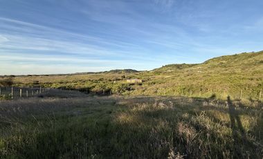 Se Vende Espectacular Parcela de 5000 m2, cercada, a 5 minutos del centro Litueche