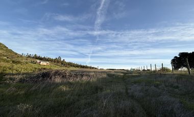 Se Vende Espectacular Parcela de 5000 m2, cercada, a 5 minutos del centro Litueche