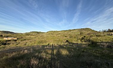 Se Vende Espectacular Parcela de 5000 m2, cercada, a 5 minutos del centro Litueche