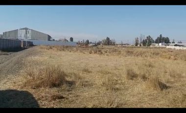 TERRENO EN MAULE