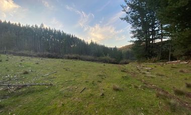 Hermosa Parcela , Sta. Juana