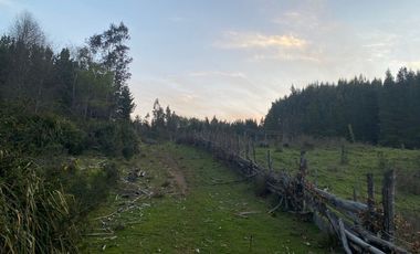 Hermosa Parcela , Sta. Juana