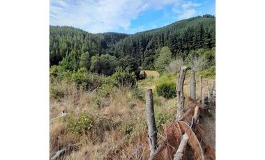 Hermosa Parcela , Sta. Juana