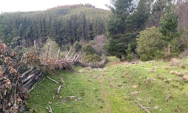 Hermosa Parcela , Sta. Juana