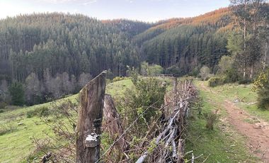 Hermosa Parcela , Sta. Juana