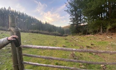 Hermosa Parcela , Sta. Juana