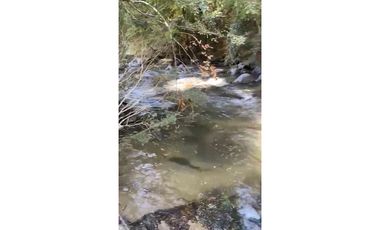 Hermosa Parcela , Sta. Juana