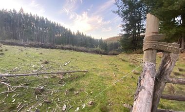 Hermosa Parcela , Sta. Juana