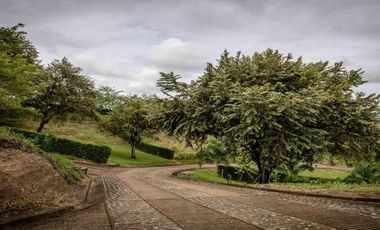 LOTE CAMPESTRE EN VENTA – CARTAGO, VALLE