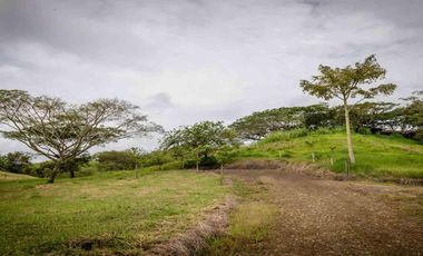 LOTE CAMPESTRE EN VENTA – CARTAGO, VALLE