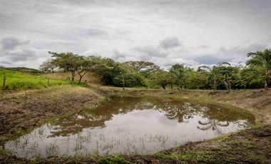 LOTE CAMPESTRE EN VENTA – CARTAGO, VALLE