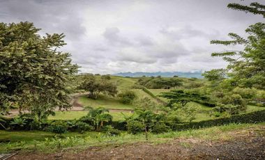 LOTE CAMPESTRE EN VENTA – CARTAGO, VALLE